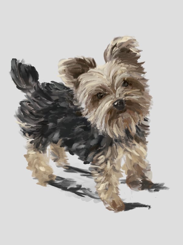 Dog